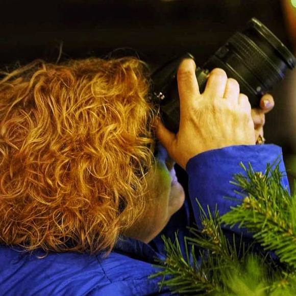 Meet your Posher, Krystal - Picture 1 of 1